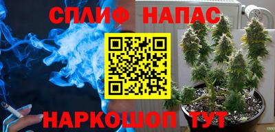 каннабис Камышлов